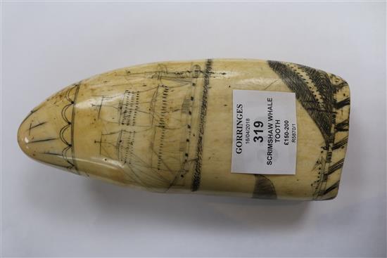 An early 19th century Scrimshaw whale tooth length 18cm